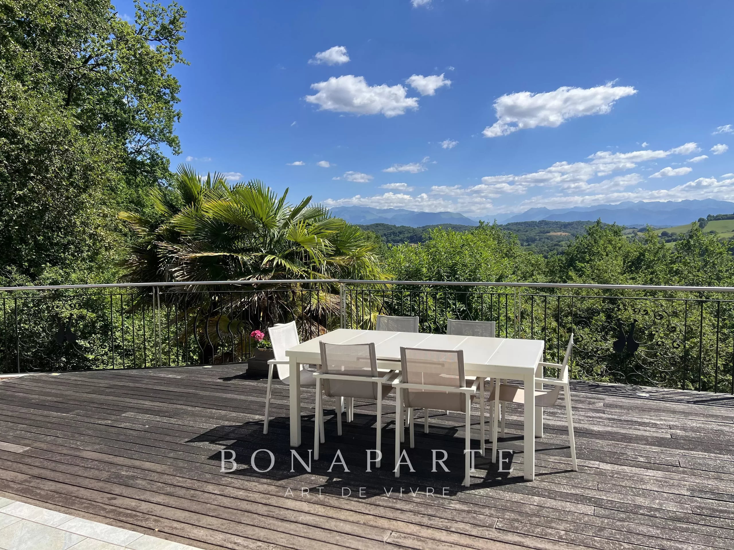 DOMAINE VUE PANORAMIQUE PYRÉNÉES - COTEAUX SUD
